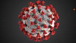 Image of Corona Virus, Alliednationwide Security, Blog